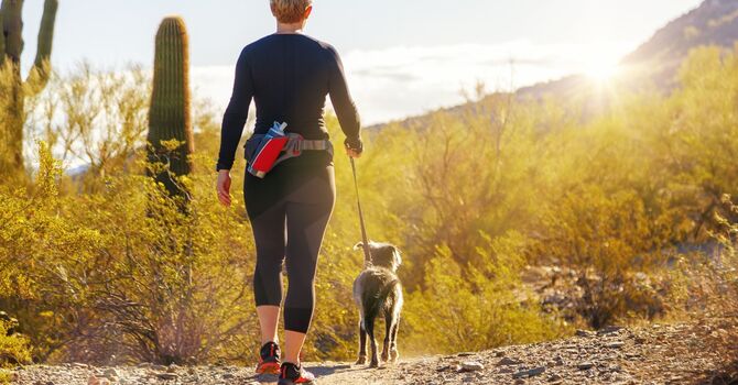 Pediatric Chiropractic